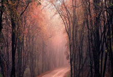 pg模拟器:薩比策披15號球衣掀話題!歐冠奪冠功勛舊主維迪奇布魯姆奎斯特、比利時貝克漢姆都穿過這背號.