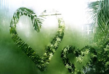 “尔滨”遇到亚冬,冰雪更加闪亮2025-02-13.